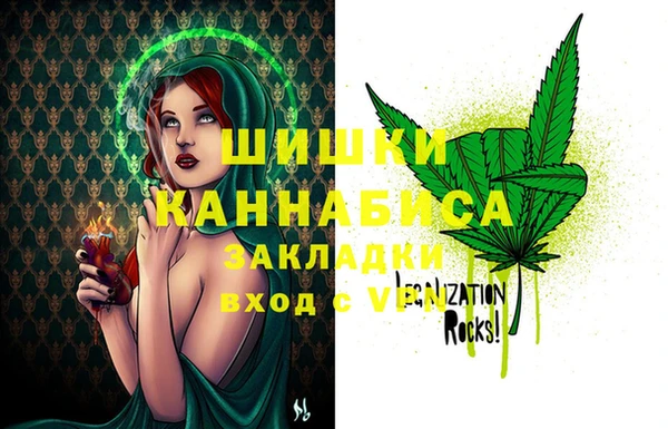 ПСИЛОЦИБИНОВЫЕ ГРИБЫ Кодинск