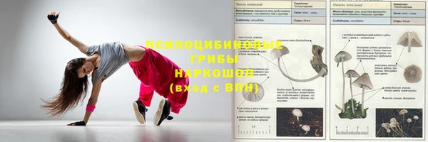 экстази Коряжма