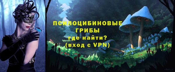 ПСИЛОЦИБИНОВЫЕ ГРИБЫ Кодинск
