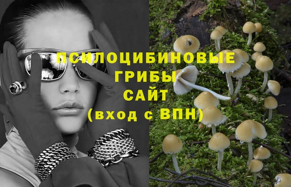 ПСИЛОЦИБИНОВЫЕ ГРИБЫ Кодинск