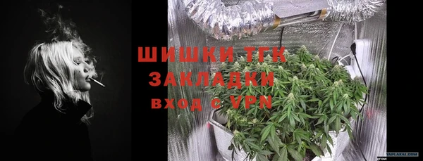 ПСИЛОЦИБИНОВЫЕ ГРИБЫ Кодинск