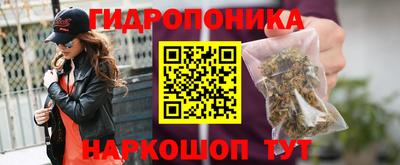 прущий лед Гай