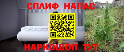 СК Будённовск