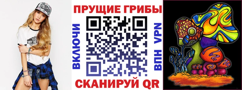 Галлюциногенные грибы Magic Shrooms  наркота  Краснознаменск 