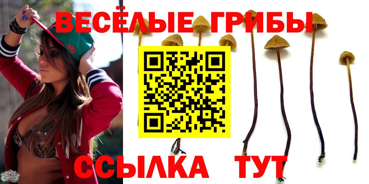 наркотики  Краснознаменск  Галлюциногенные грибы Cubensis  Галлюциногенные грибы Magic Shrooms 