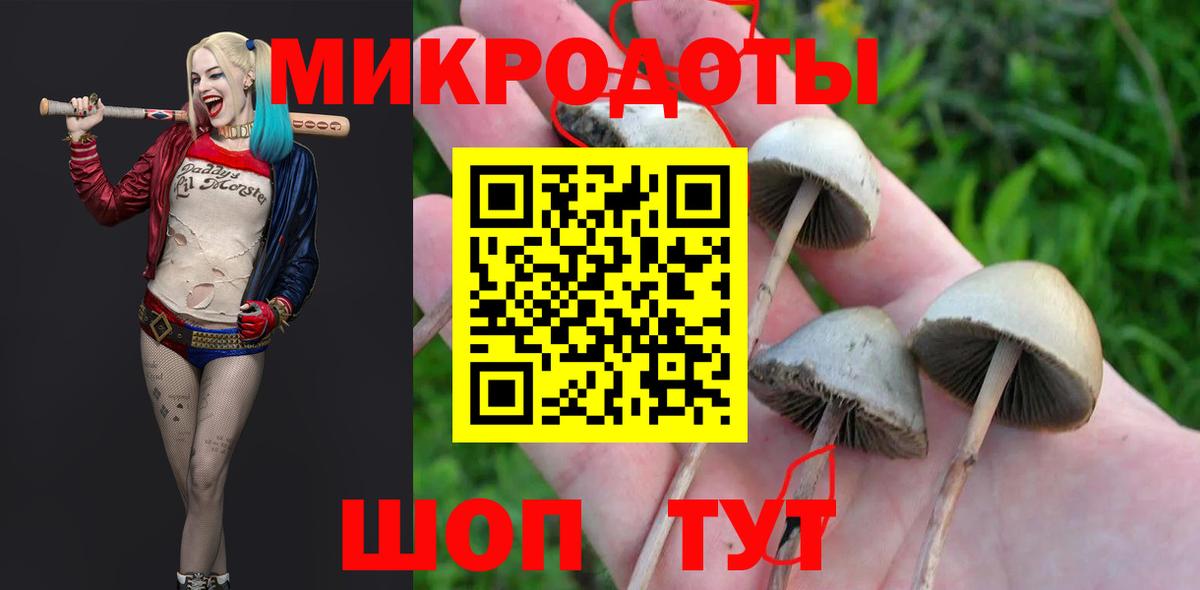 Краснознаменск  Псилоцибиновые грибы прущие грибы  Вход с VPN 